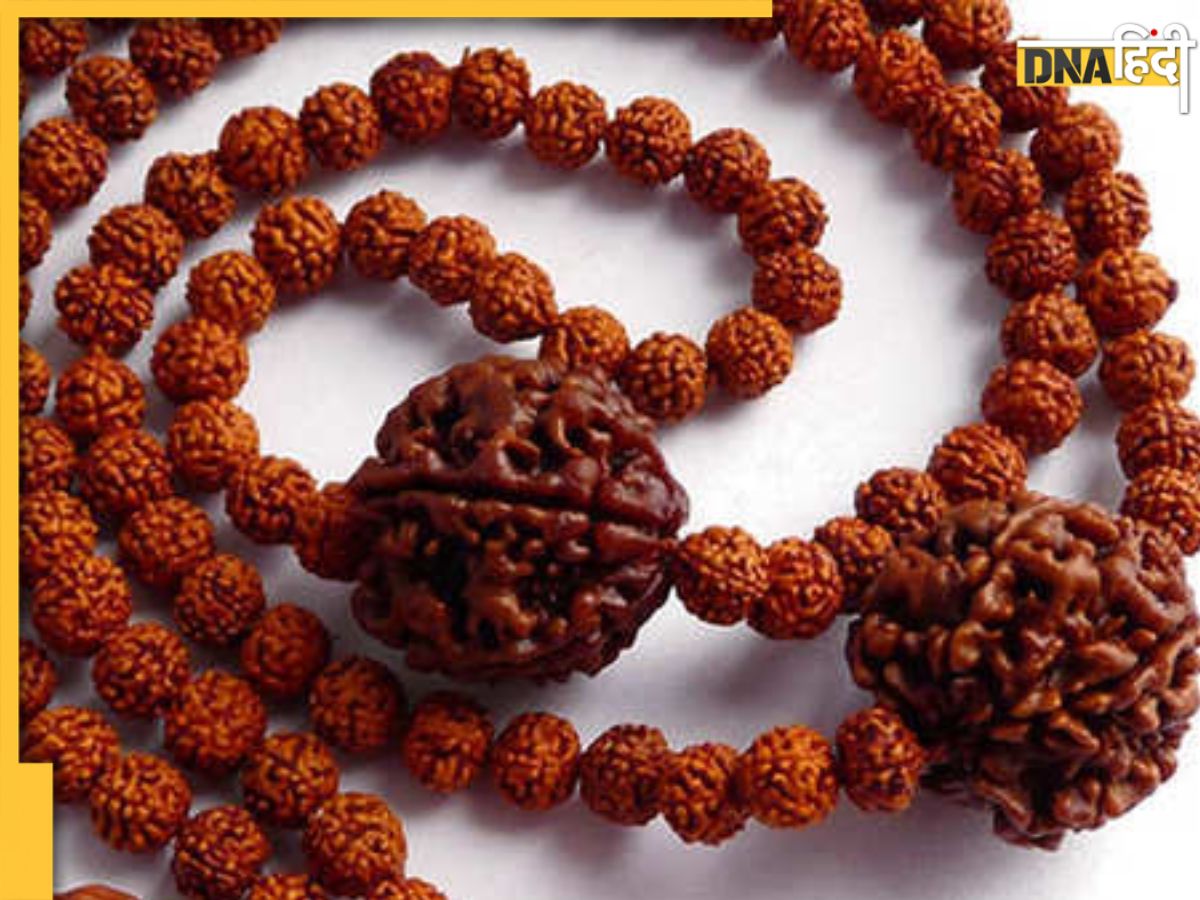 Rudraksha Benefits रदरकष धरण करन स पहल जन ल कय हत ह