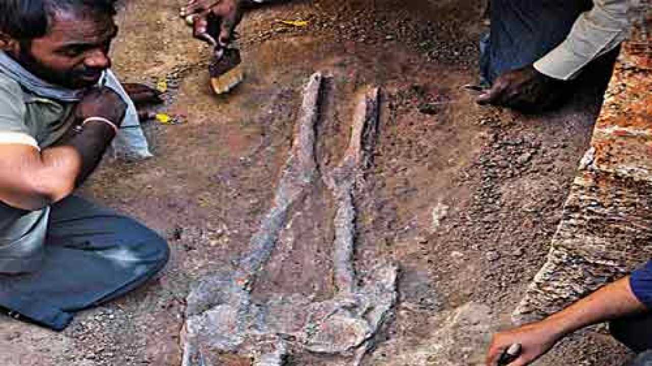 4 000 Year Old Human Skeleton Found In Odisha