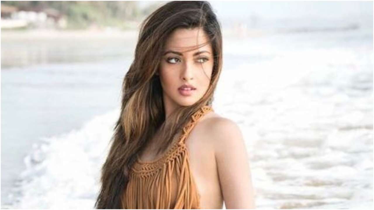 Riya Sen Sets Internet Ablaze With Her Sexy Bikini Photos Flaunts Her Slender Figure