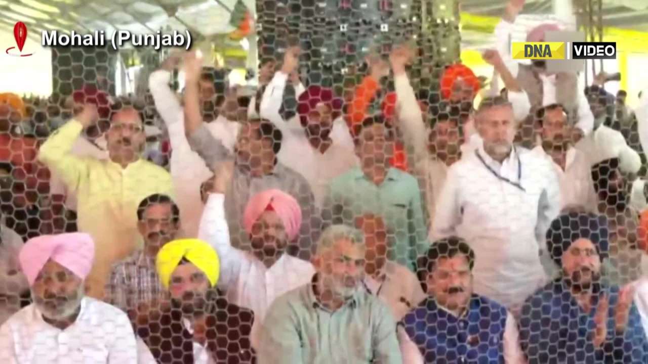 Punjab PM Modi Receives Thunderous Welcome In Mohali Modi Modi