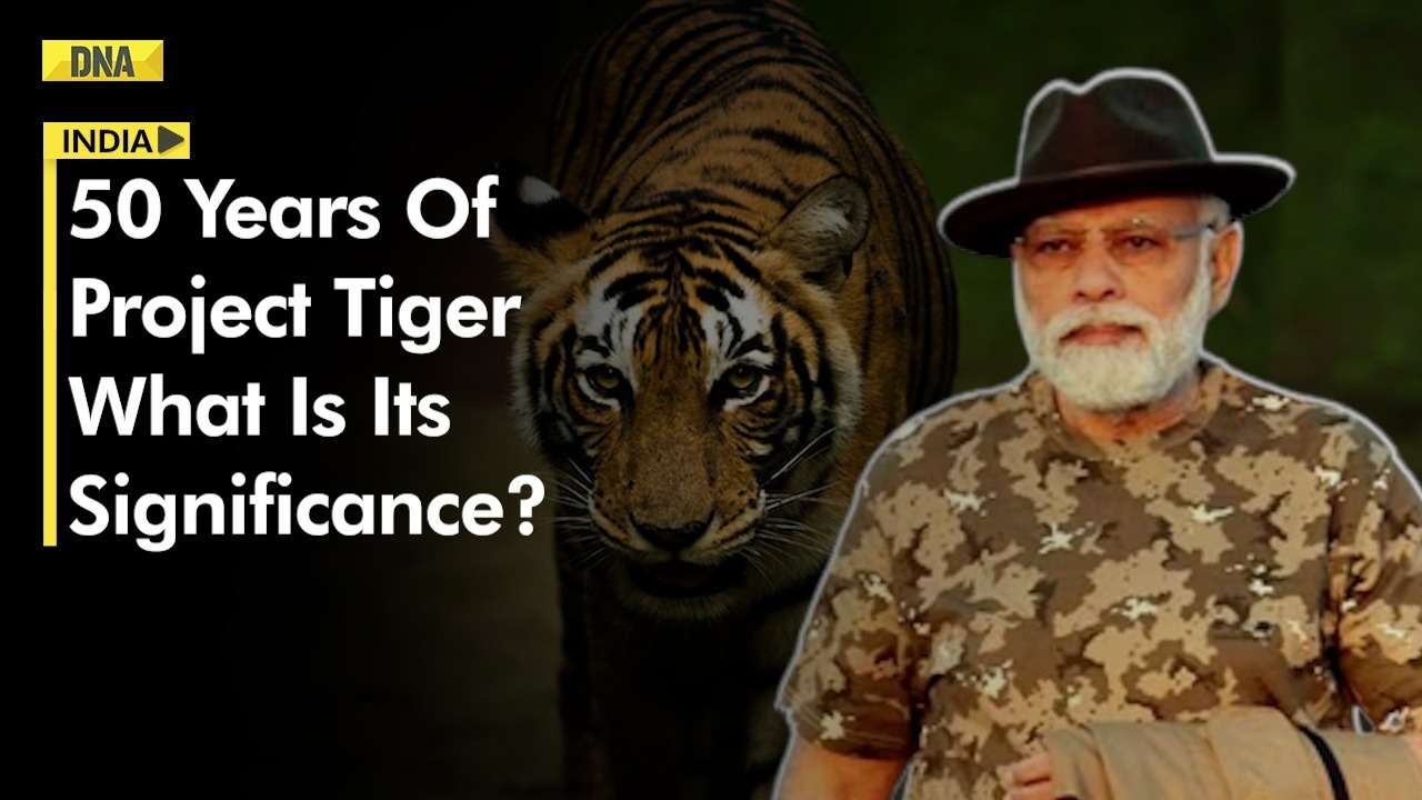 Years Of Project Tiger Pm Modi Reveals Big Cats Census Here S