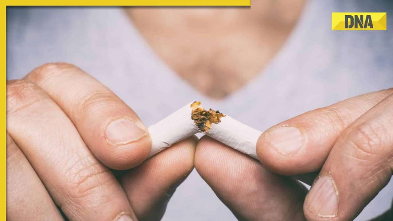 World No Tobacco Day Does Smoking Affect Female And Male Fertility