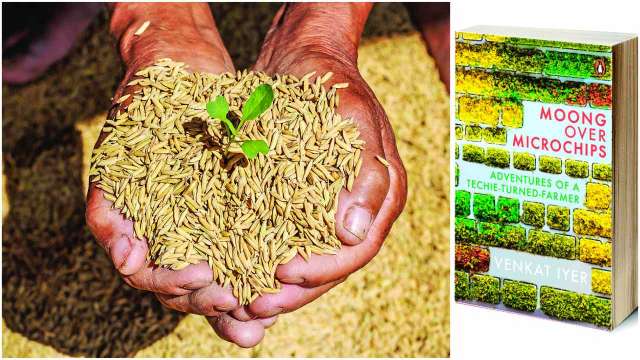 Life on the slow track