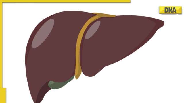 Check Out These Foods To Maintain A Healthy Liver