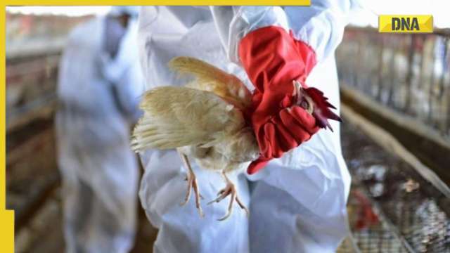 Bird Flu Will Largest Avian Influenza Outbreak In Recorded History