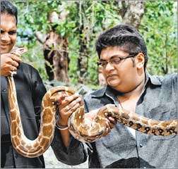 6 Ft Python 6-foot python found in Mulund