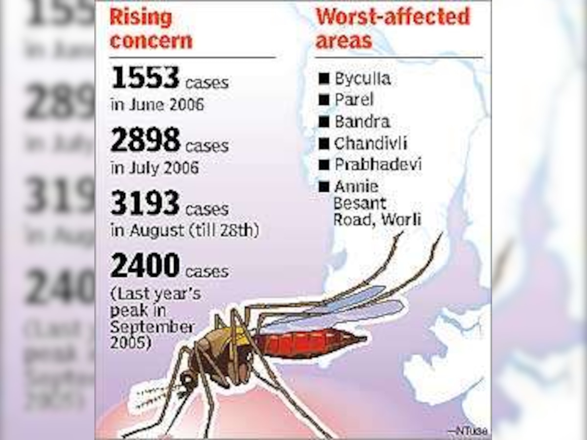 Malaria epidemic set to sting Mumbai