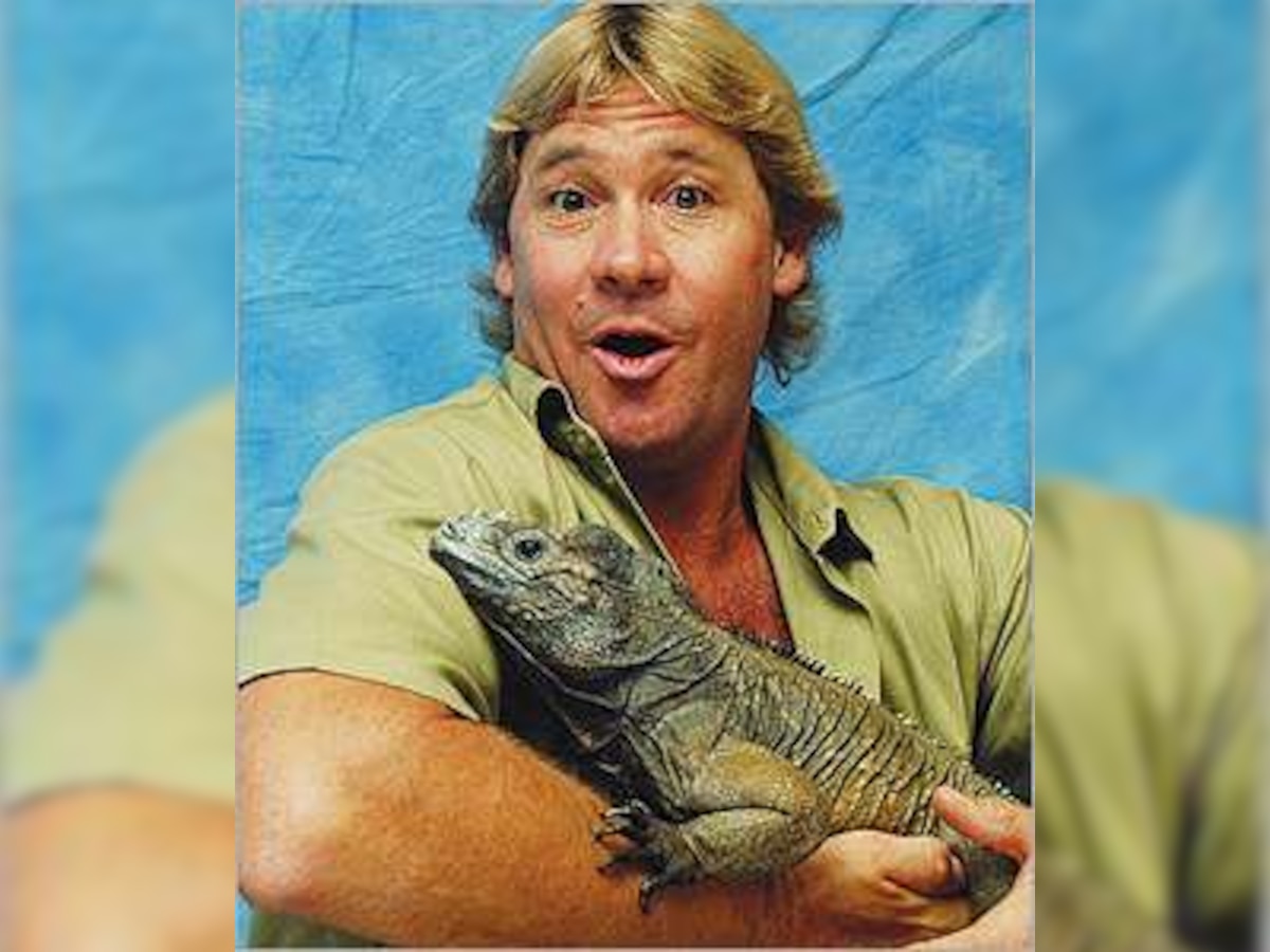 Steve Irwin was killed by peaceful fish