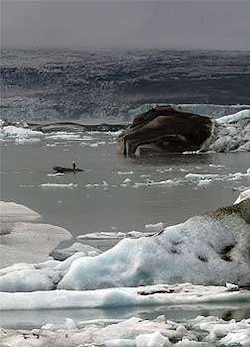 Melting ice accelerates global warming: UN report