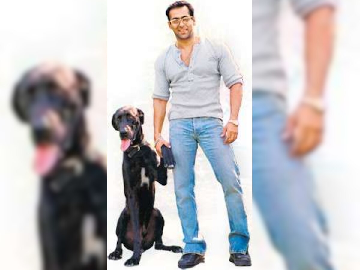 New pooch for Salman?