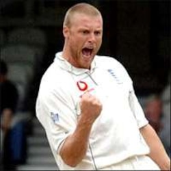 Flintoff wants 6,000 pounds Ashes urn mosaics in his swimming pools