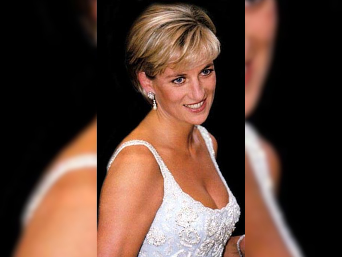 Did Princess Diana have an affair with singer Robert Plamer?