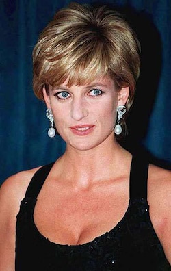 Chauffeur behind Princess Diana’s death was ‘framed as a drunk driver’  