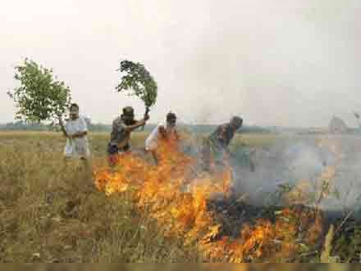 Russia fires cause 'brown cloud', may hit Arctic