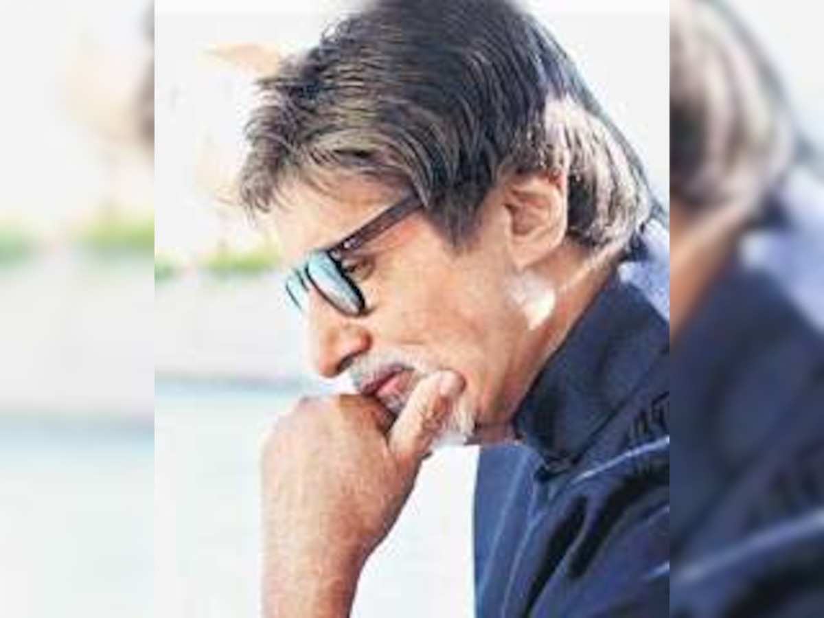 The lion in summer, Amitabh Bachchan
