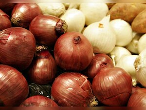 Pakistani traders exporting onions to India despite low production