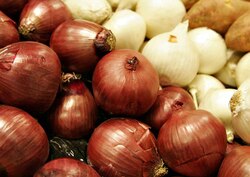 Pakistan onion exports to India not yet resumed