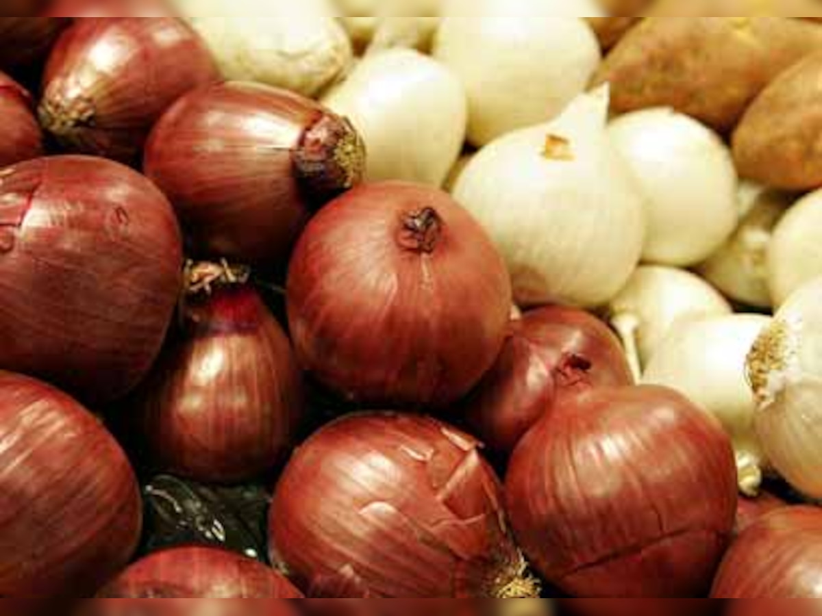 Wholesale price of onions drops in Delhi