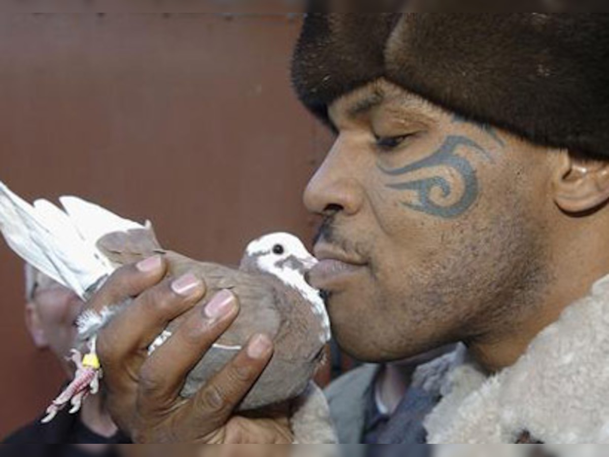 Boxer Mike Tyson becomes a pigeon racer now