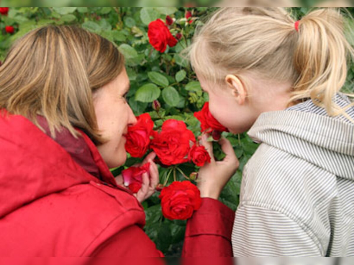 What we can learn from French parents