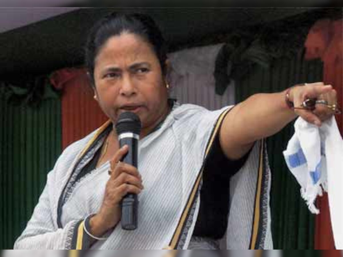 Mamata Banerjee painting auctioned in New York for $3000