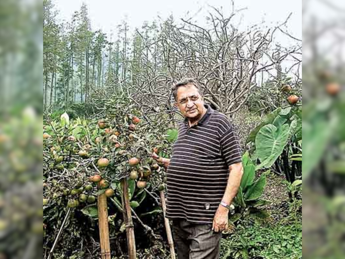 Can we grow apples in Karnataka? Yes, says C Parmar