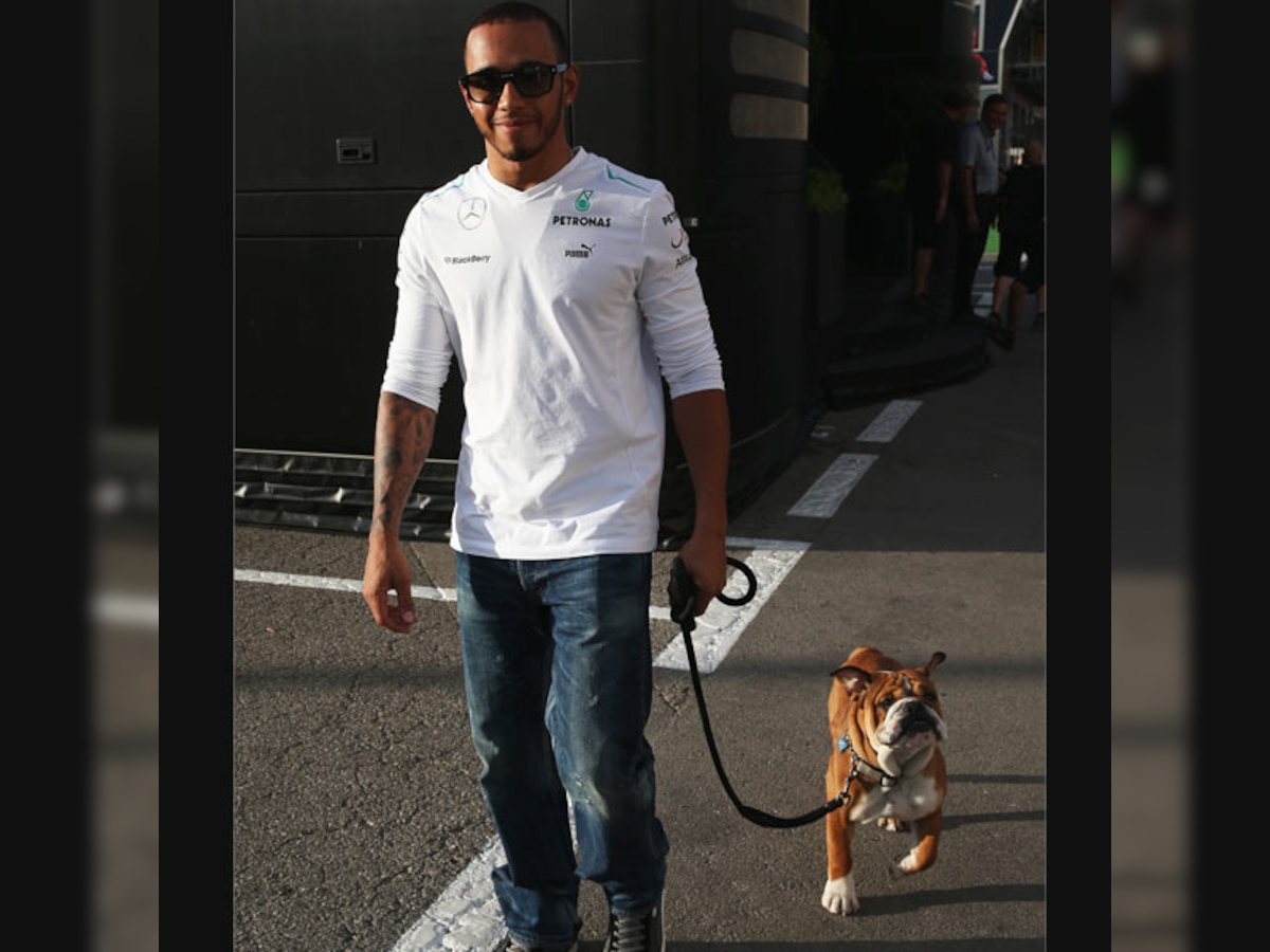 Lewis Hamilton's bulldog Roscoe makes F1 debut at Spanish GP