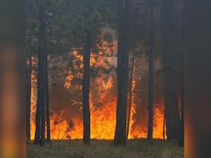 Colorado wildfire destroys more than 90 homes as winds worsen