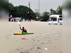 dna edit: The annual disaster