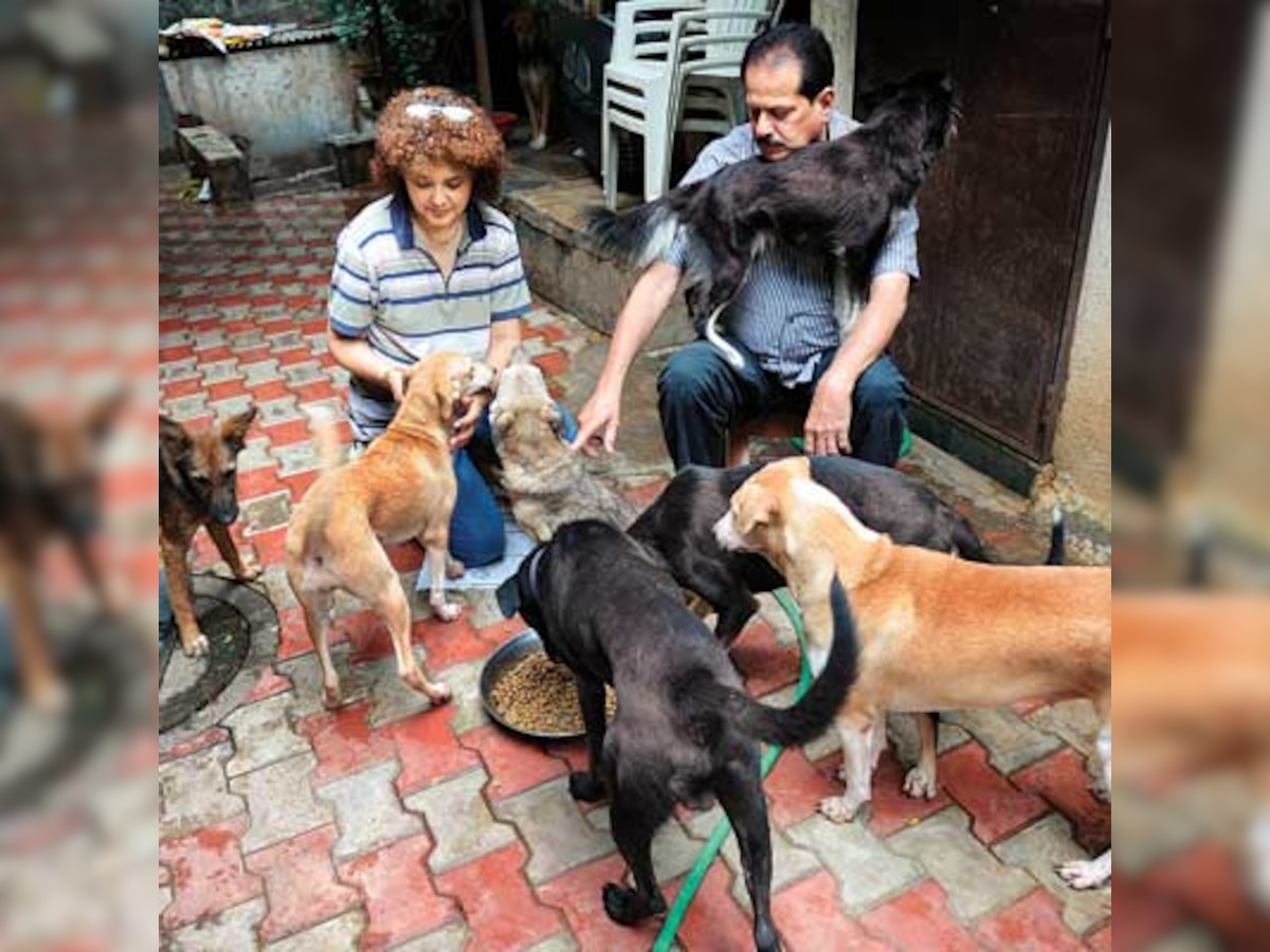 A family that loves pets stays together