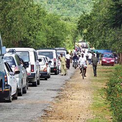 Tiger reserve spared vehicles' rush