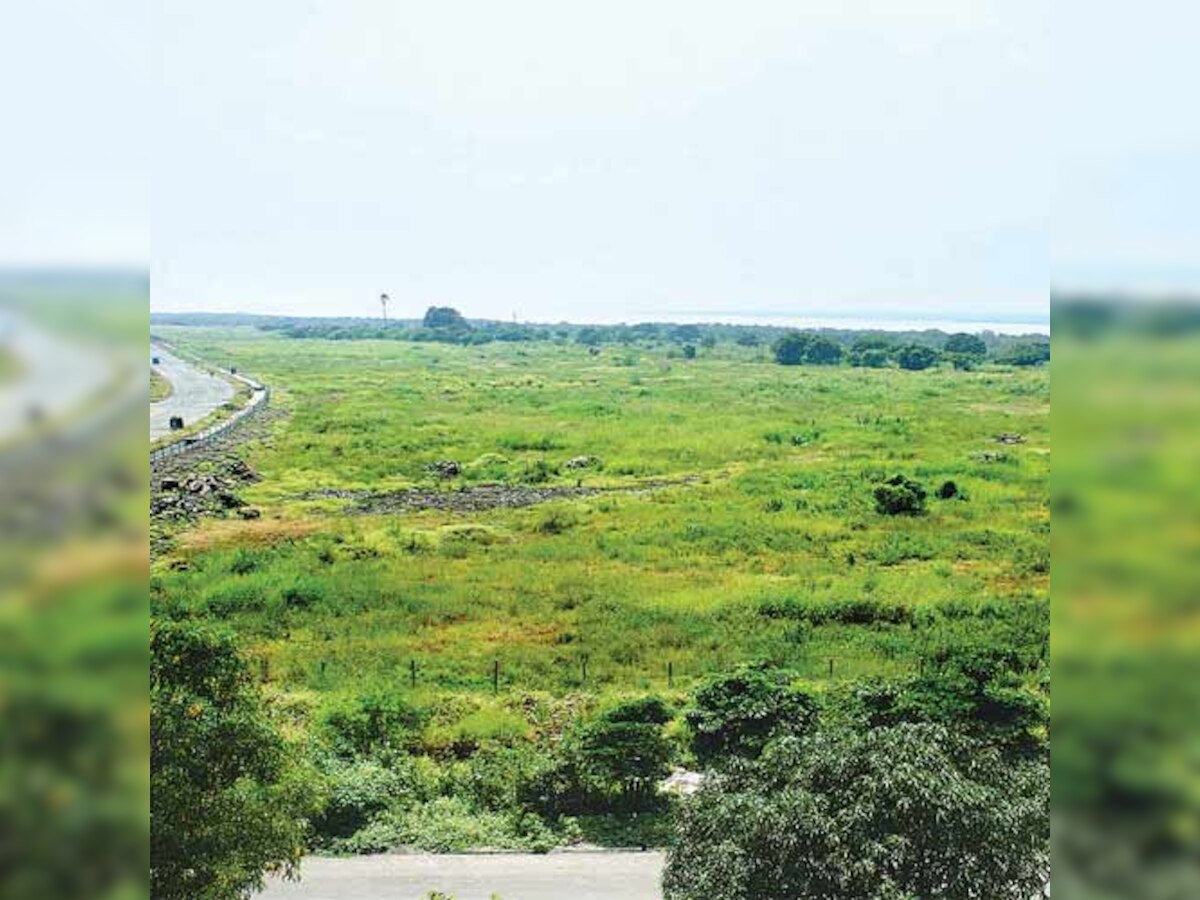 Privatisation is OK, but no compromise on public land: Planners