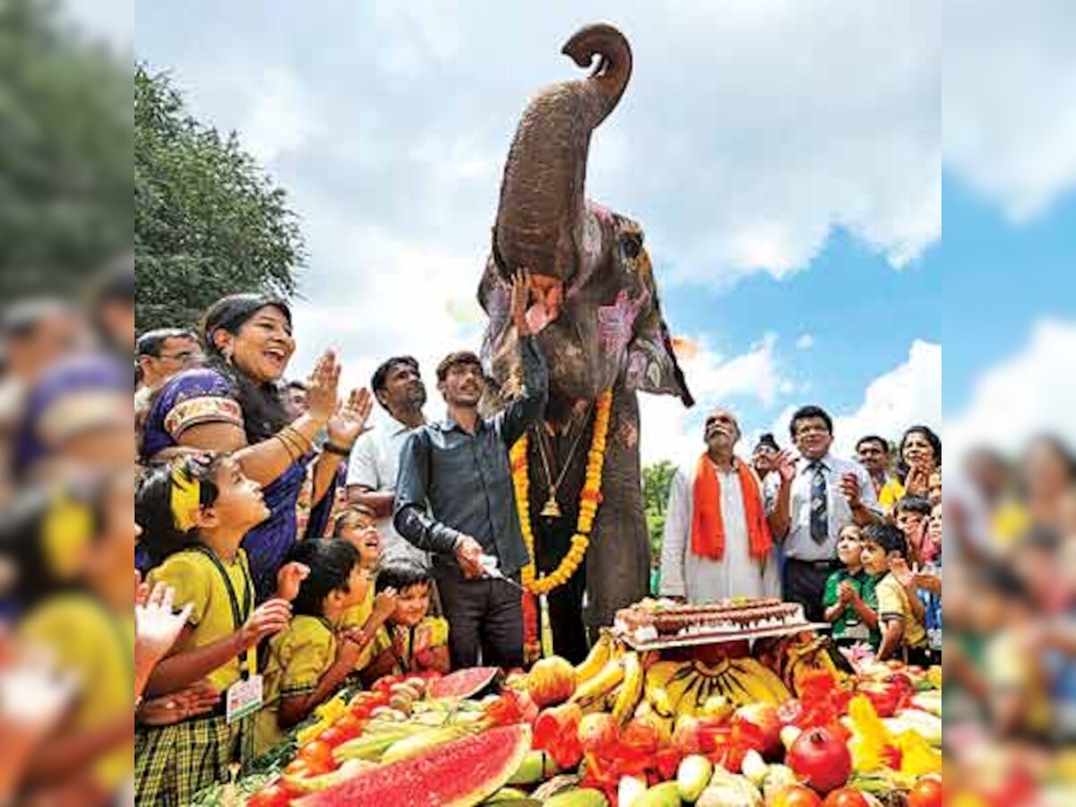 Finally, Poornima finds love & home in city school