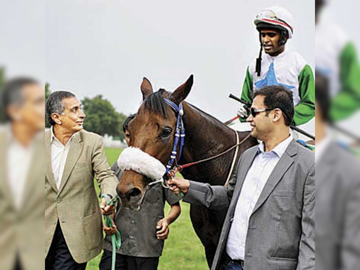 Glorious Reward wins dna Salver