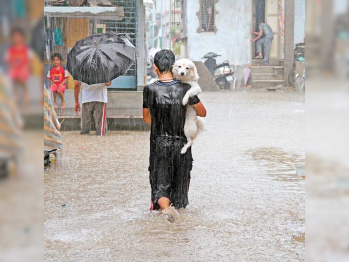 News through the lenses &mdash; photojournalists' creativity in a hurry