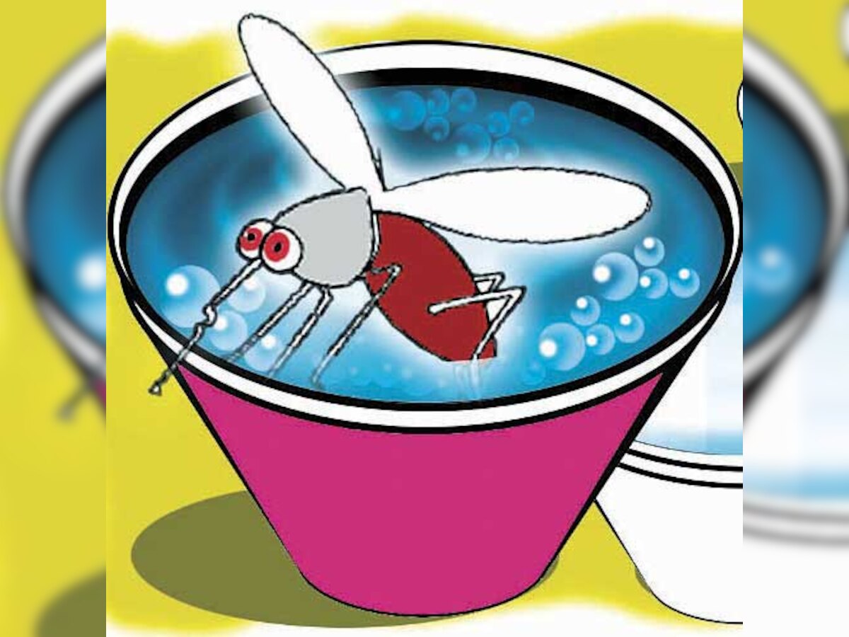 Dengue cases plague Kalanagar, Mumbai death toll at five