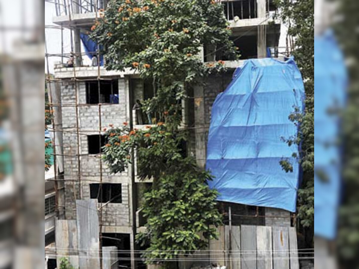 Builder breaks bylaws with impunity