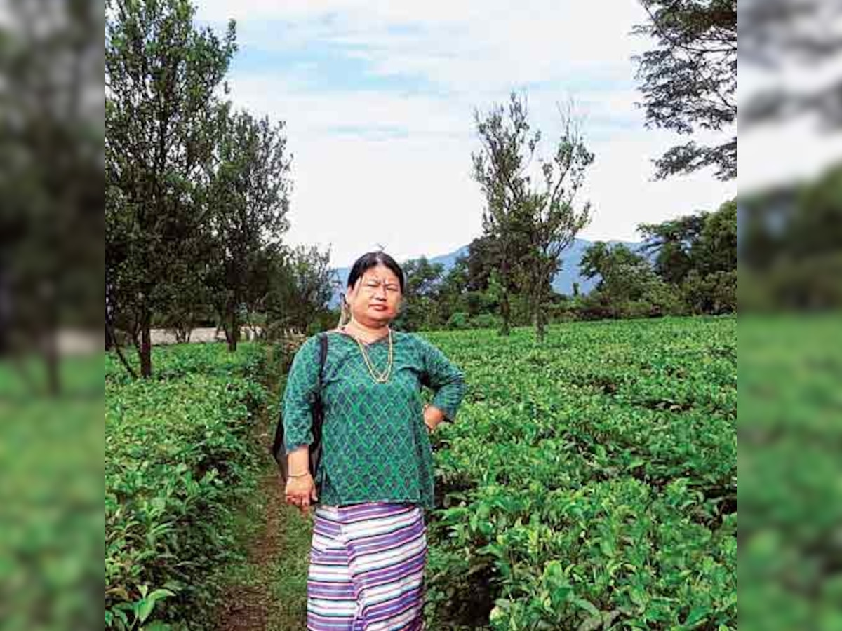 Changing the landscape of Arunachal with tea