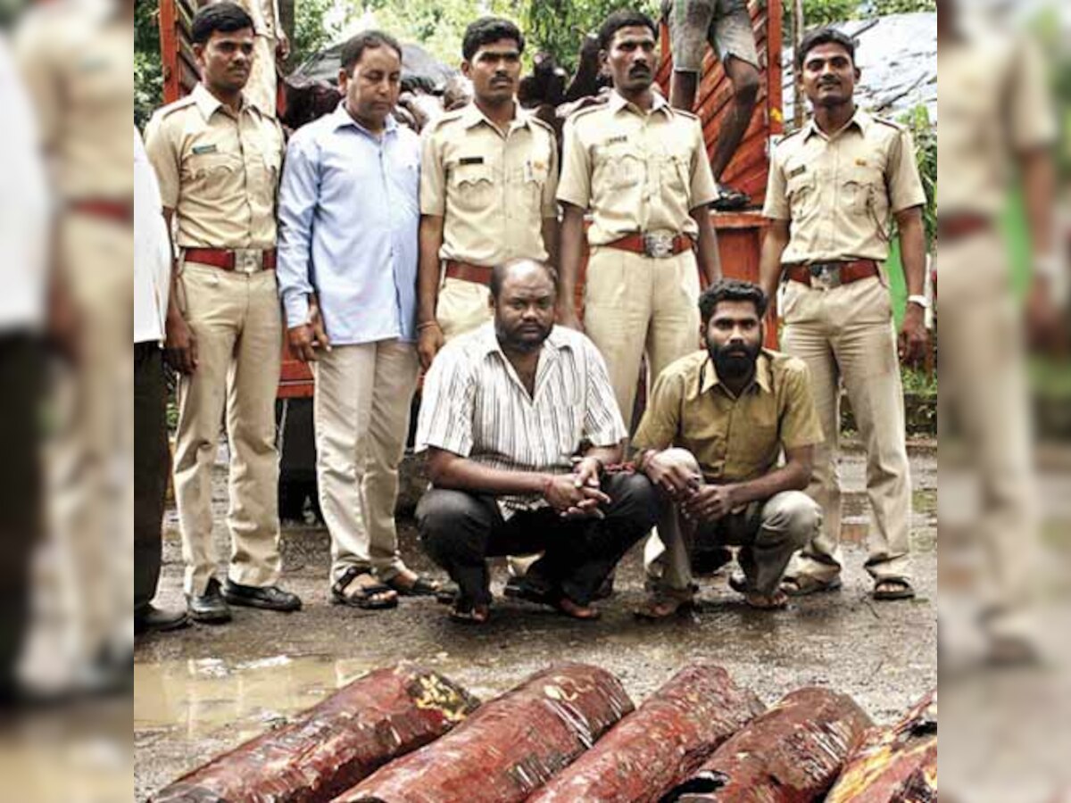 Sandalwood worth Rs 3 crore seized in Panvel, two arrested