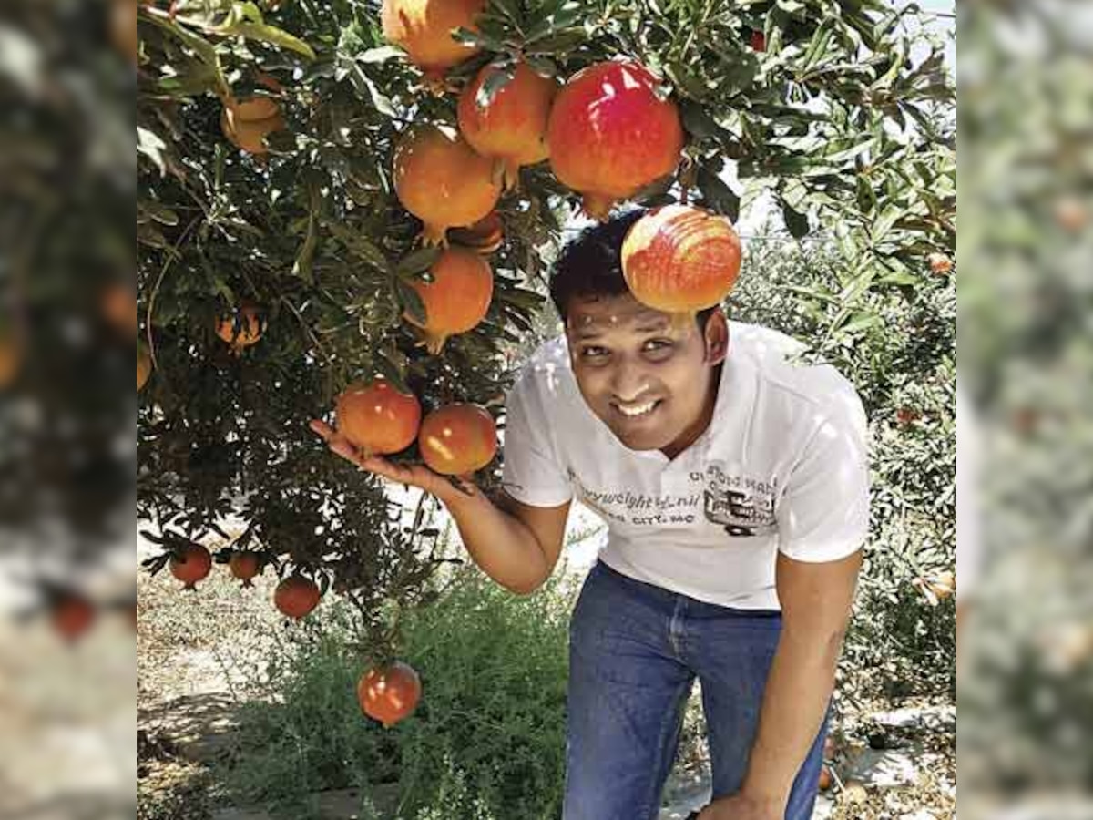 How Bangalore's docs, techies are investing in scientific farming