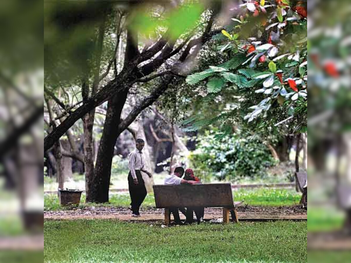 Cubbon Park was a haven for anti-socials