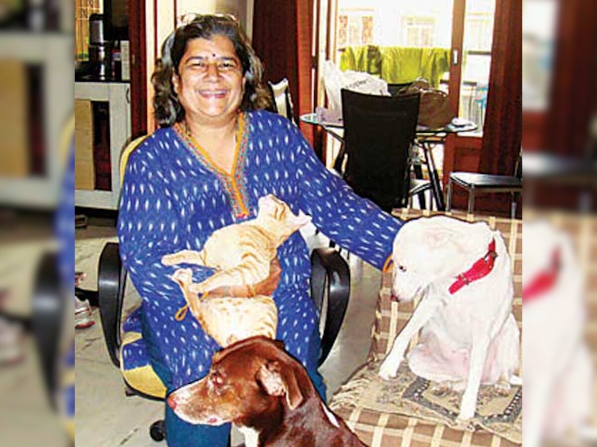 No colony for animal lovers, pets