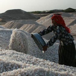 Salt sells at Rs150 a kg, Bihar denies shortage