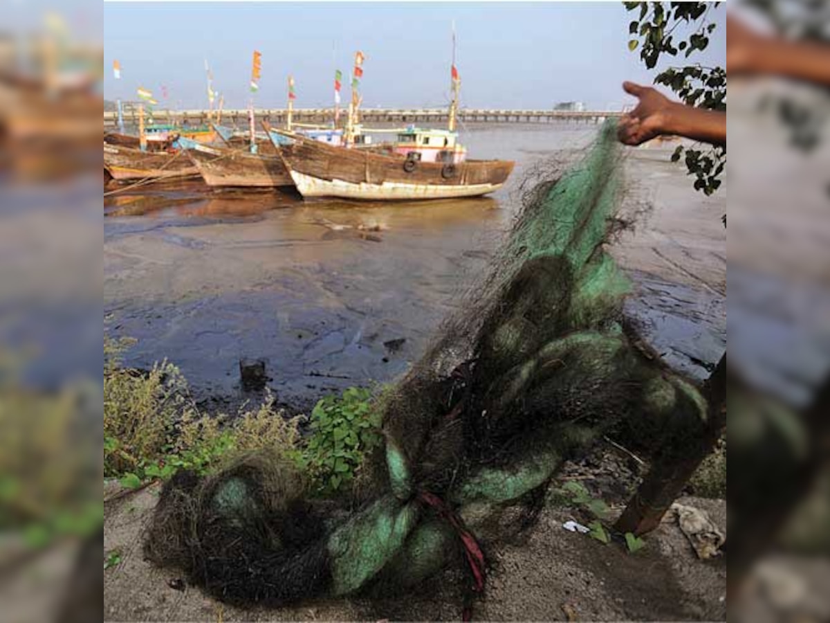 Mahul oil leak damages 0.22 hectares of mangroves