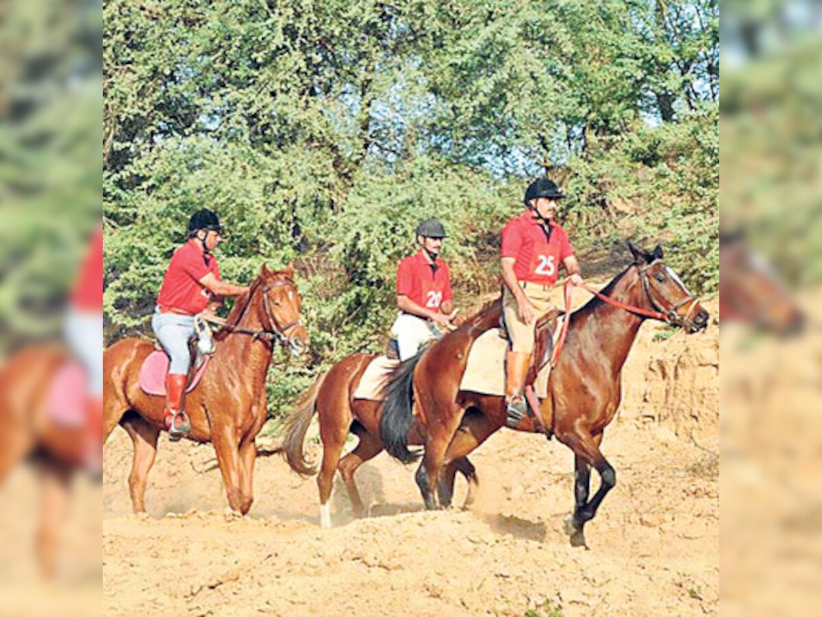 Ahmedabad: Horse’s heartbeat key to entry in race say cops