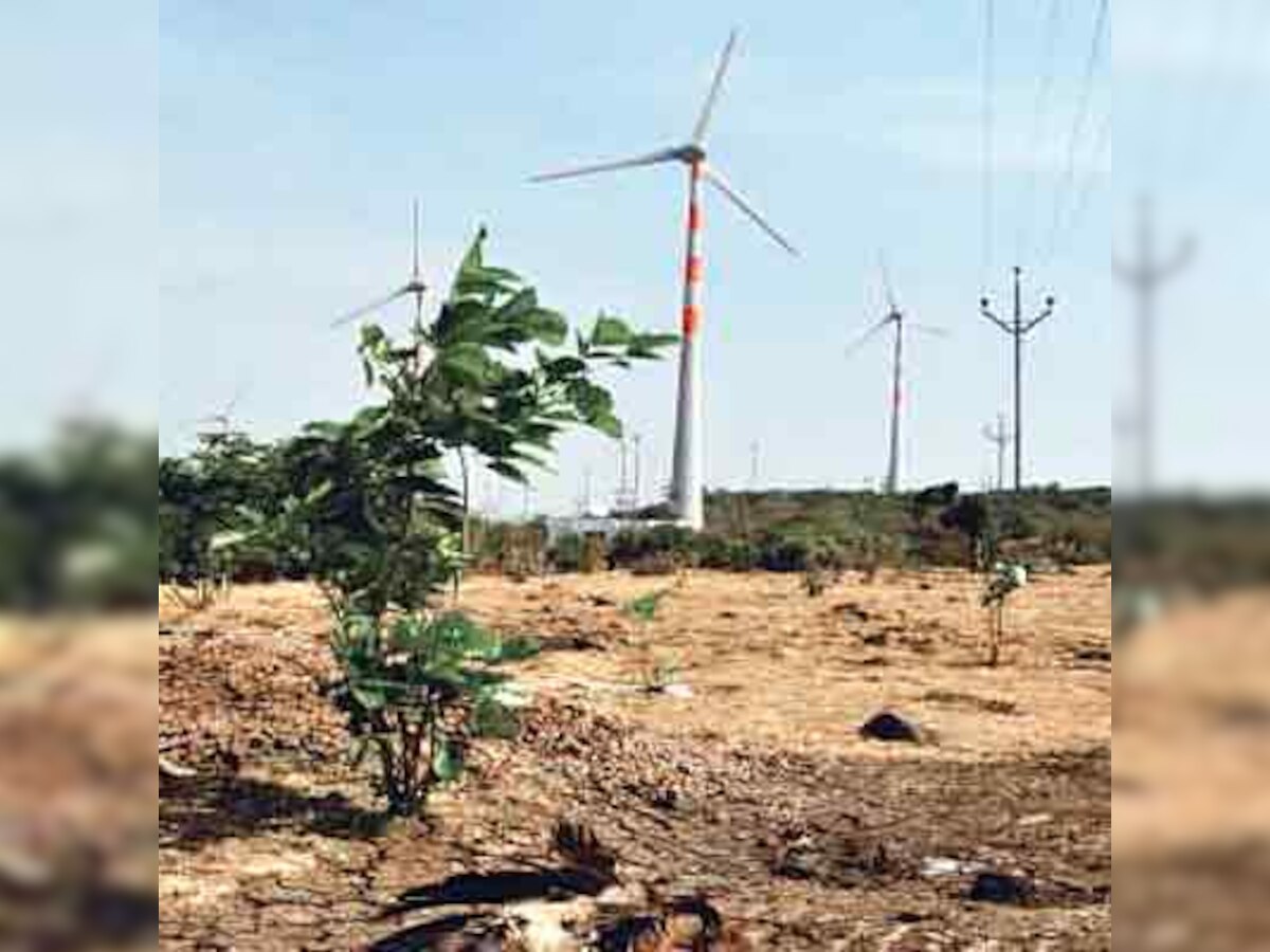 Windmills grind bird population to death: BNHS report