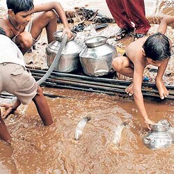 Waterborne diseases up by 50% in Amdavad