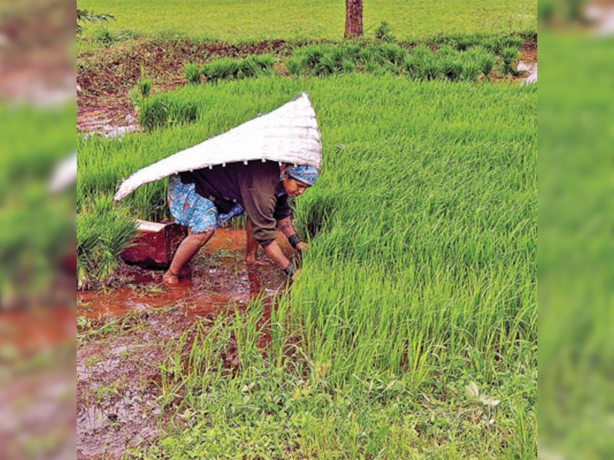 Migration back to villages