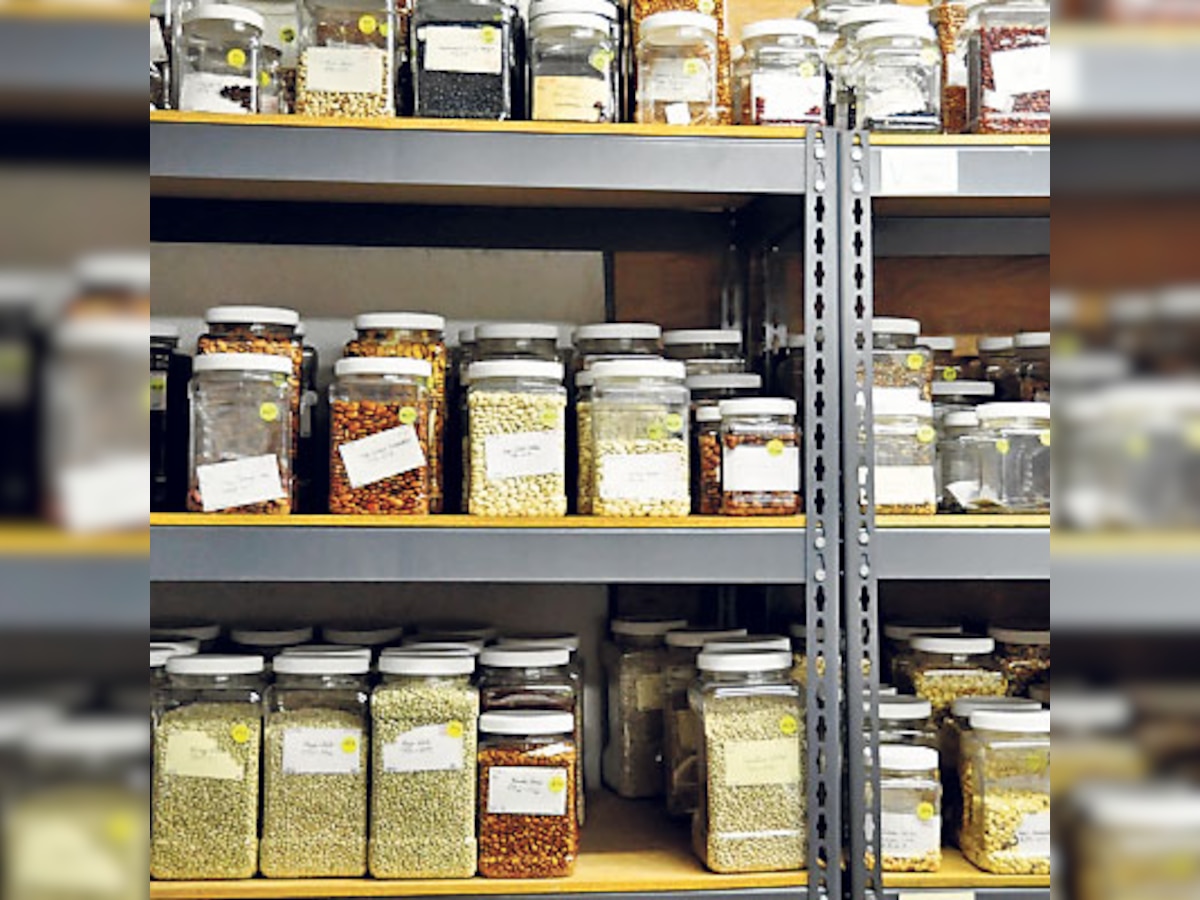 Now, a seed bank to protect local varieties of crops