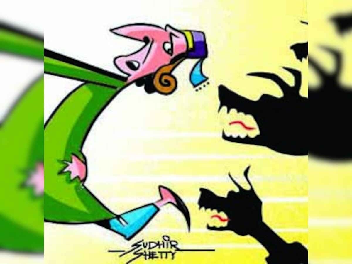 Stray dogs continue to bark, Pune Municipal Corporation fails to hear